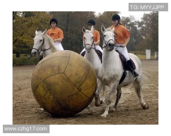 周娜独家分享羽毛球技巧与心得助你提升竞技水平与乐趣